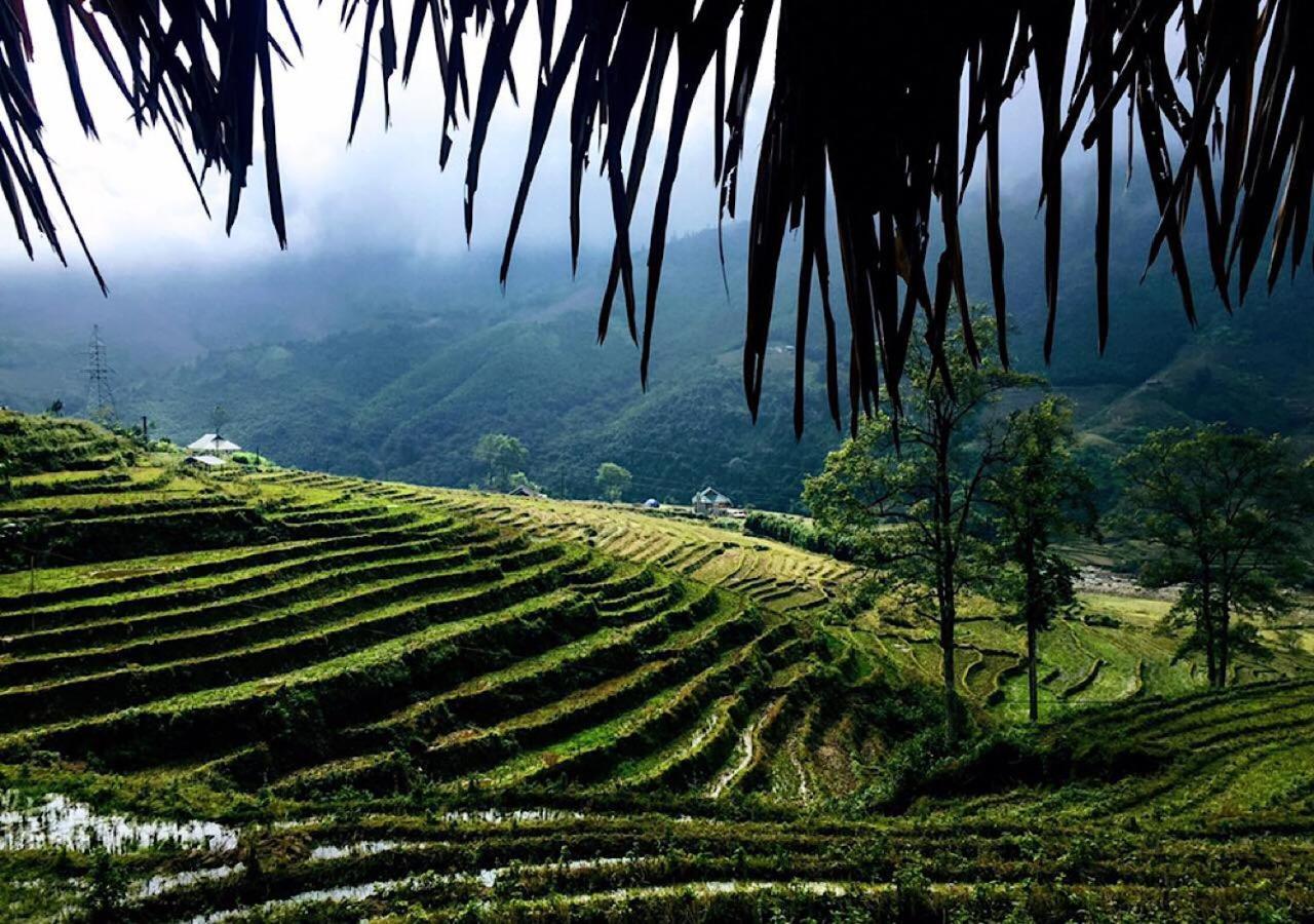 Sapa Hmong Bungalow Homestay Dış mekan fotoğraf
